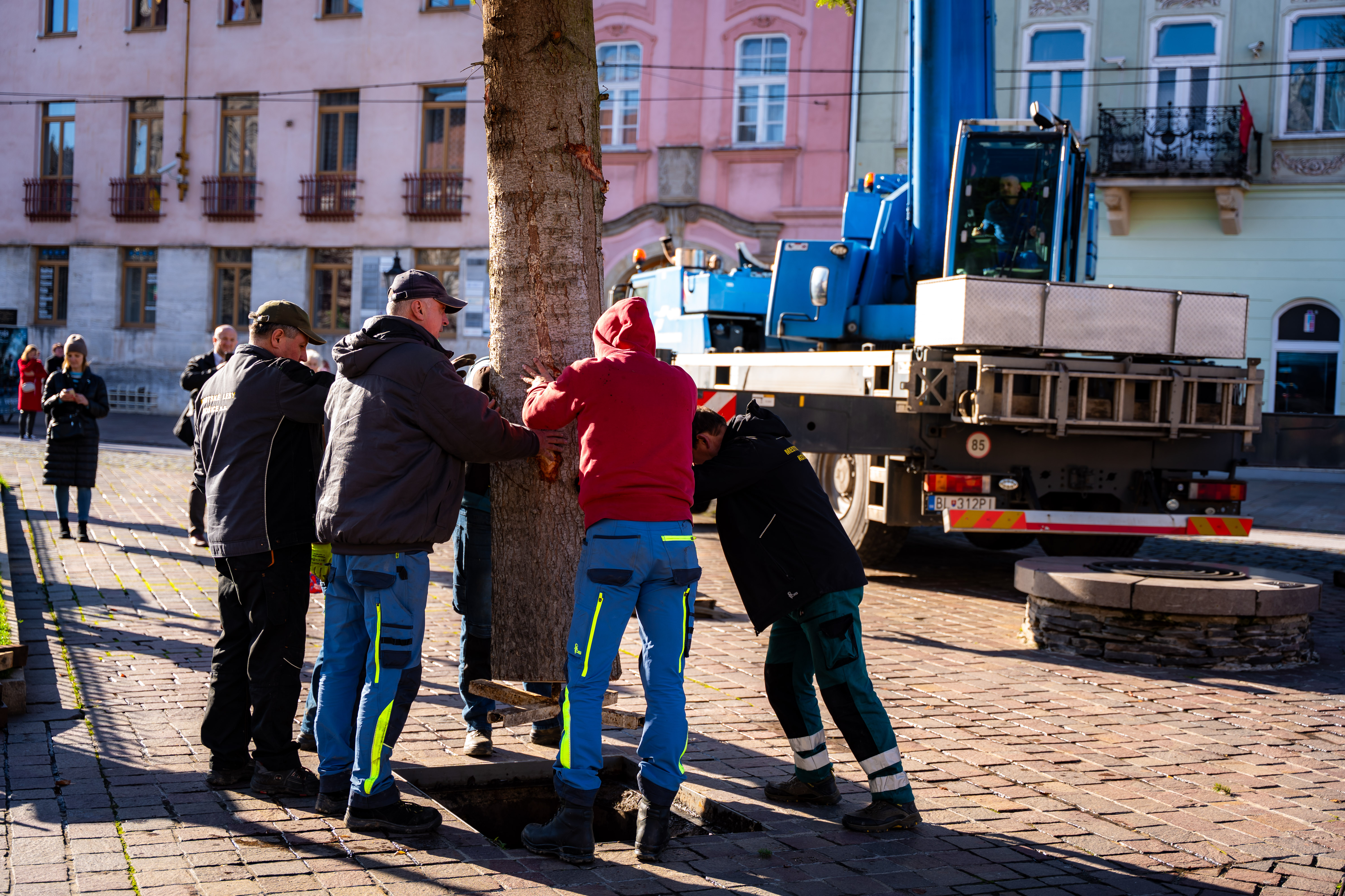 Umiestnovanie Vianocneho stromu-25